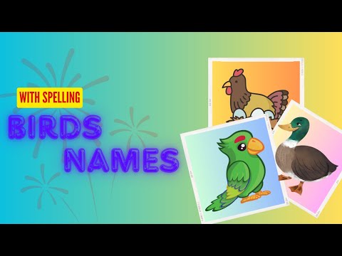 Learn birds names with spelling 