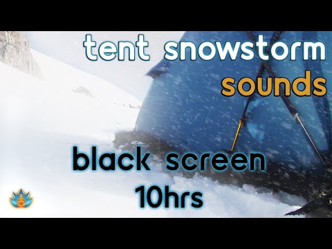 [Black Screen] Tent in Blizzard Ambience: Severe Snowstorm with Tent Flapping in the Howling Wind