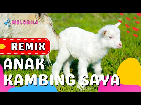 🔴 LAGU ANAK KAMBING SAYA REMIX - Lagu Anak Balita