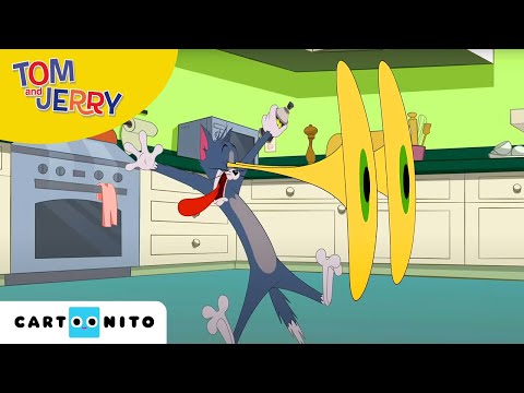 Tom and Jerry | Rattenpolitie | Cartoonito