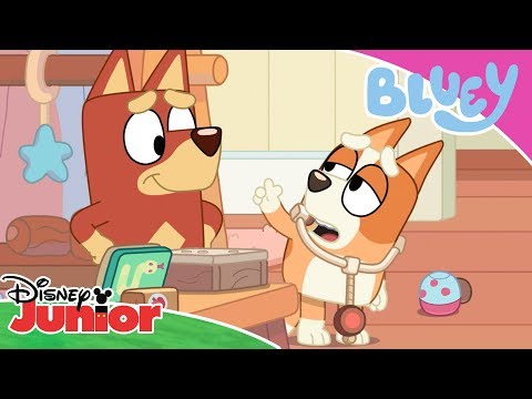 🚑 Dr Bingo | Bluey | Disney Kids