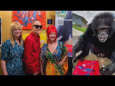 B-52&rsquo;s and Chimps Make Paintings to Fundraise for Sanctuary