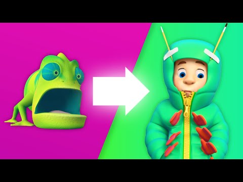 The Lost Chameleon Quest! | The Fixies | Animation for Kids