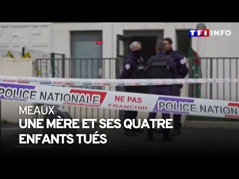 Une m&egrave;re et ses quatre enfants tu&eacute;s &agrave; Meaux, le p&egrave;re en garde &agrave; vue