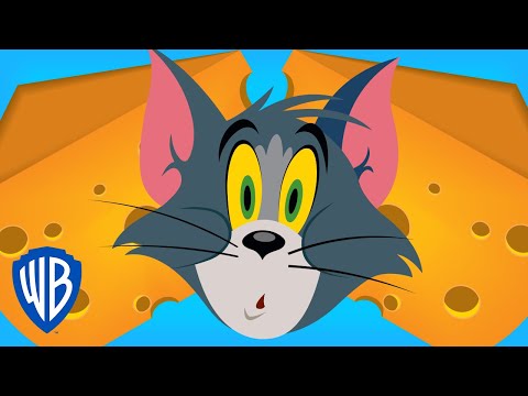 TOM &amp; JERRY | BAD CHEESE DREAMS 🧀 💤| WB Kids