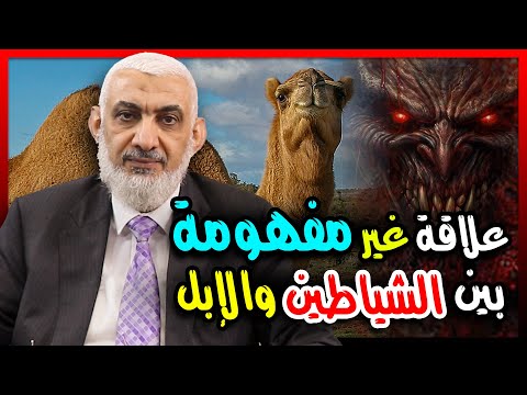 علاقة غير مفهومة بين الشياطين&nbsp;والإبل