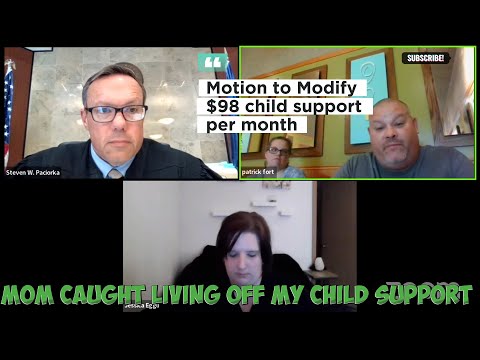 Mom caught living off my child support &amp; threatens son to sell his Guinea pigs Motion to Modify $98