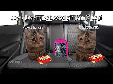 Pov : berangkat sekolah jam 7 pagi | meme kucing 🤣 1