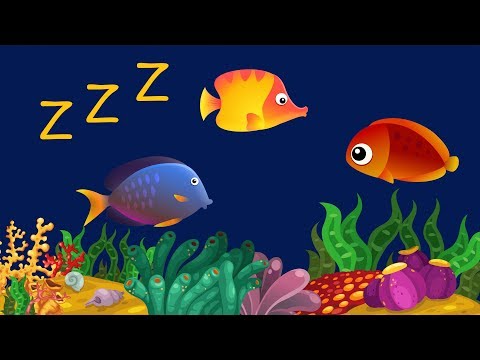 Berceuse pour B&amp;eacute;b&amp;eacute; Poisson Animation ♫ ❤ B&amp;eacute;b&amp;eacute;-dodo