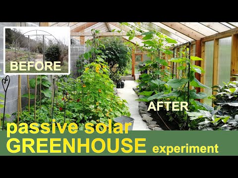 We built a passive solar GREENHOUSE | Here&rsquo;s what happened