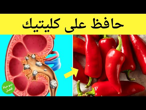 16 نوع من الطعام تحمي الكلى من الاصابة بالأمراض