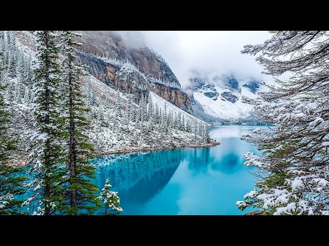 Beautiful Relaxing Music - Stop Overthinking, Stress Relief Music, Sleep Music, Calming Music #33