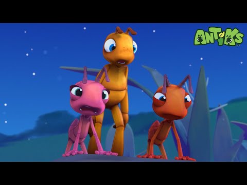 My Dear Cousin 👪 | ANTIKS 🐜 | Old MacDonald's Farm | Animal Cartoons for Kids