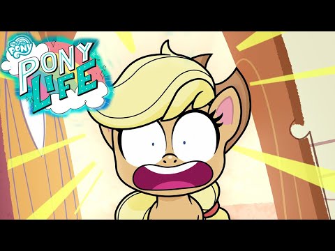 My Little Pony em portugu&ecirc;s NOVA S&Eacute;RIE: PONY LIFE 🦄 Como Applejack Conseguiu de Volta o Seu Chap&eacute;u