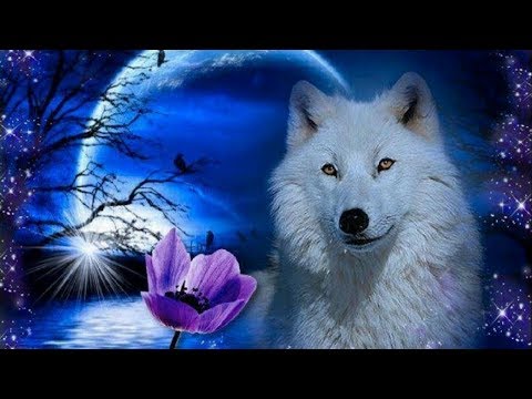 Guided Meditation for Kids | YOUR GUARDIAN WOLF | Relaxation for Children