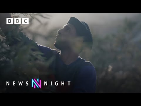 Israel-Gaza war: Inside the West Bank&amp;rsquo;s divided areas &amp;ndash; BBC Newsnight