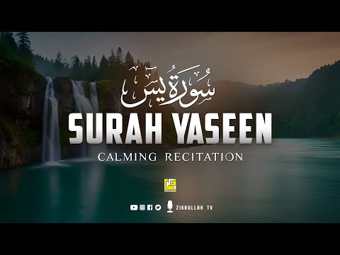 Most calming recitation of Surah Yaseen (Ya-Sin) یس سورہ | Zikrullah TV