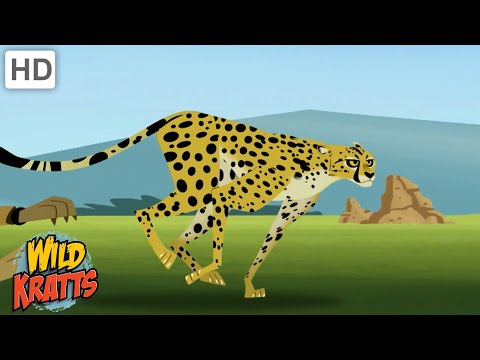 Happy Mew Year | Big Cats | Lions, Cheetahs, Leopards + more [Full Episodes] Wild Kratts