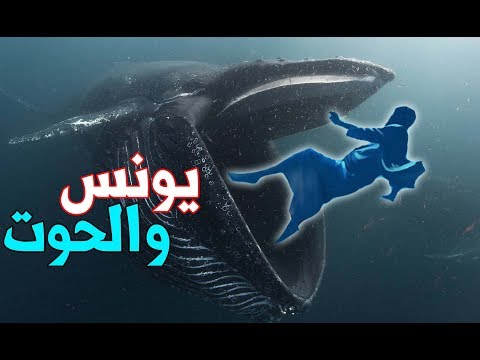 كيف عاش سيدنا يونس في بطن الحوت وما سر الصوت الغريب الذي سمعه وماذا وجد بعد خروجه؟