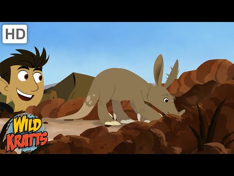 Underground Creatures | Aardvarks, Groundhogs, Rattlesnakes + more! [Full Episodes] Wild Kratts