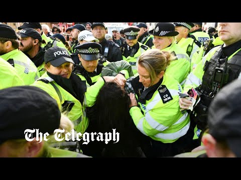 Pro-Palestine march in London: Police make terror arrest at Piccadilly Circus