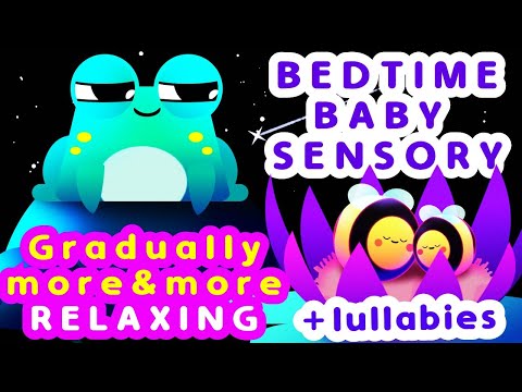 💤 Gradually Relaxing Baby Sensory -  Bedtime Sensory Video - Infant Visual Stimulation 🐸 🐝