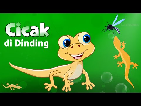 CICAK Cicak di Dinding | Lagu anak anak Cicak cicak di dinding