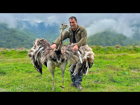 Cooking The Best Unimaginable Recipes In The Mountain Village Of Azerbaijan