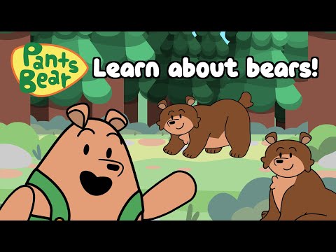 Facts About Bears | Science for Kids | Educational 