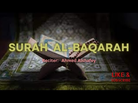 Surah Baqarah {2/114}-The Cow beautiful quran reciatation