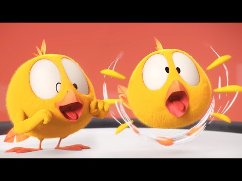 Where's Chicky? Funny Chicky 2023 | ROCK BAND | Cartoon in English for Kids | New episodes