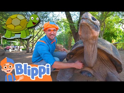 Blippi Visits a Zoo And Learns About Animals! | Educational Videos for Kids