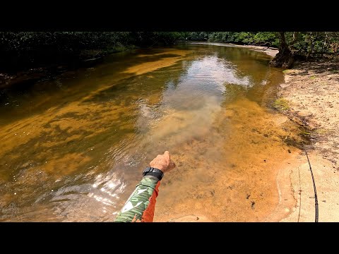 Perigo esta ali! Te engana os olhos, mas &eacute; o terror de qualquer pescador.