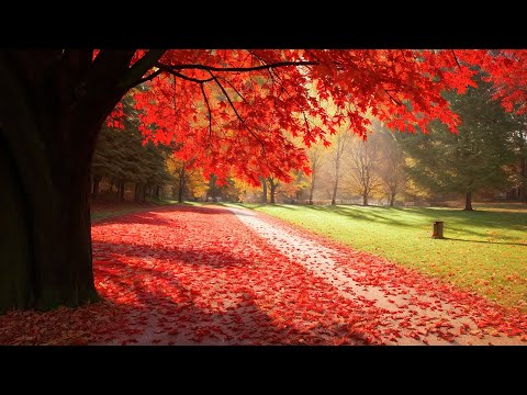 Relaxing Music for Stress Relief and Fatigue: Calming, Gentle, and Soothing