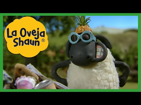 &iexcl;A RECOGER!|EL VISITANTE🐑LA OVEJA SHAUN TEMPORADA 1| DIBUJOS ANIMADOS PARA NI&Ntilde;OS