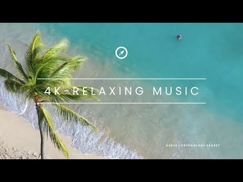 Finding Inner Peace in Nature's Arms - 4k - Relaxing Music