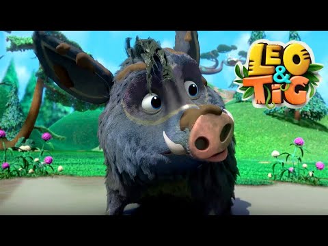 Leo &amp; Tig - Episode 25 🐯 Cuba in Love | Super Toons - Kids Shows &amp; Cartoons