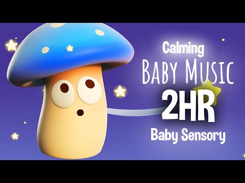 Relaxing sensory sleep music - Baby Sensory ASMR &ndash; Calming Bedtime Songs for Babies 🌙✨