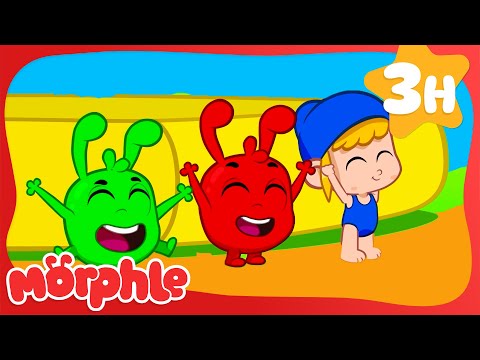 Beach in the Backyard! 🏖️ | Morphle's Family | My Magic Pet Morphle | Kids Cartoons