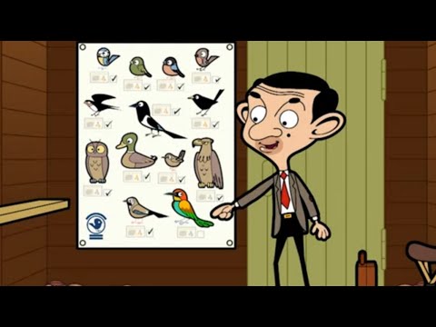 Bird Watchers | Mr Bean | Cartoons for Kids | WildBrain Bananas