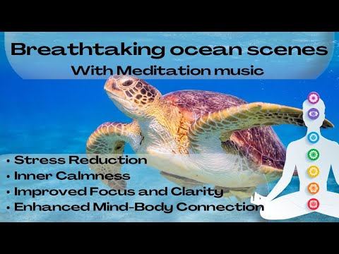 🌊🧘&zwj;♂️ Ocean Meditation for Deep Relaxation  🧘&zwj;♂️🌊