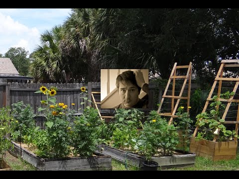 What I Learned About Gardening and Self Sufficiency