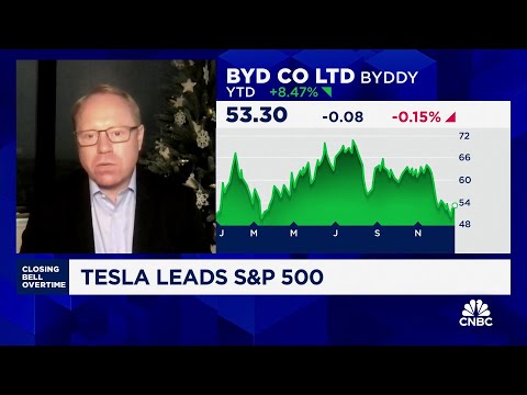 Tesla is 'egregiously' overvalued, going to see a 'tough' 2024, says Roth MKM's Craig Irwin