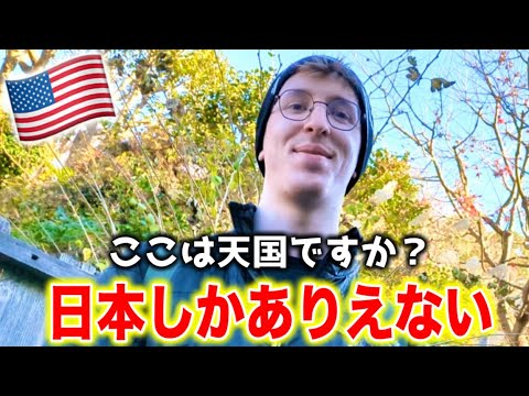 『もう日本から離れられない』外国人観光客が感激【外国人にインタビュー】外国人の反応