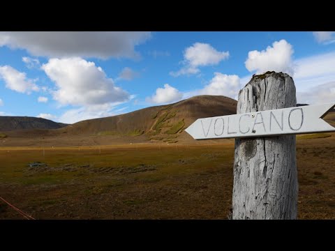 Calls to rescue Icelandic animals amid volcanic activity