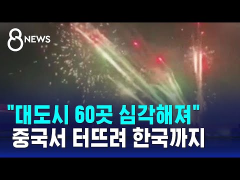 전면금지 푸는 중국&hellip;&quot;우리나라에도 영향&quot; / SBS 8뉴스