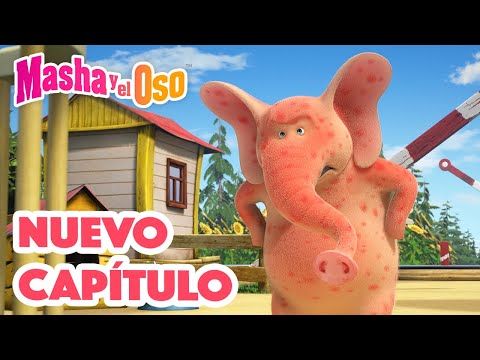 👱&zwj;♀️ Masha y el Oso 🐻 Nuevo cap&iacute;tulo 🐽🍼 &iexcl;Los Nuevos Chicos del Barrio!