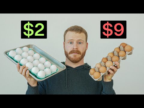 Do expensive Eggs actually taste better?