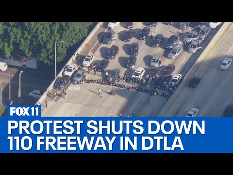 110 Freeway standstill: Protesters calling for cease-fire in Gaza blocking lanes in DTLA