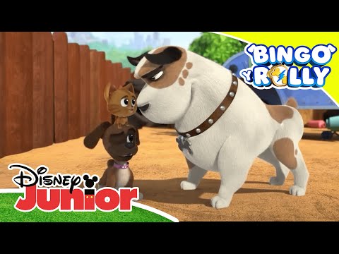 Bingo y Rolly: Recoger el guante | Disney Junior Oficial